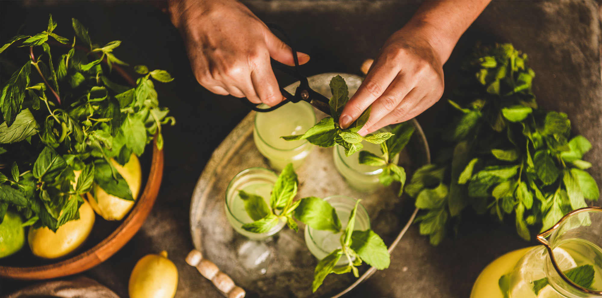 Phase 4: Support Your Detoxification Pathways